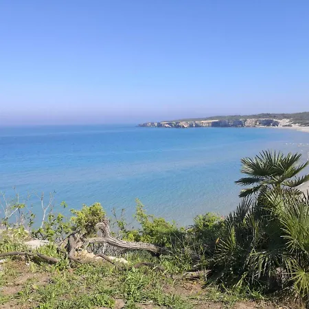 Oasi Di Mare
