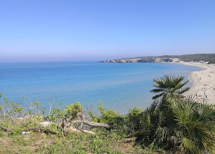 Oasi Di Mare